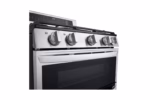 LG 6.9 cu. ft. Smart Gas Double Oven Freestanding Range with ProBake Convection(R), Air Fry & Air Sous Vide LDGL6924S (a4lrxwihrv3z) (5)